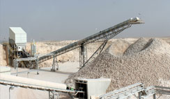 Mineral Processing Plants